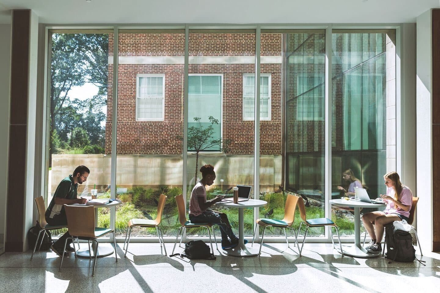 Students studying at tables lit by large windows