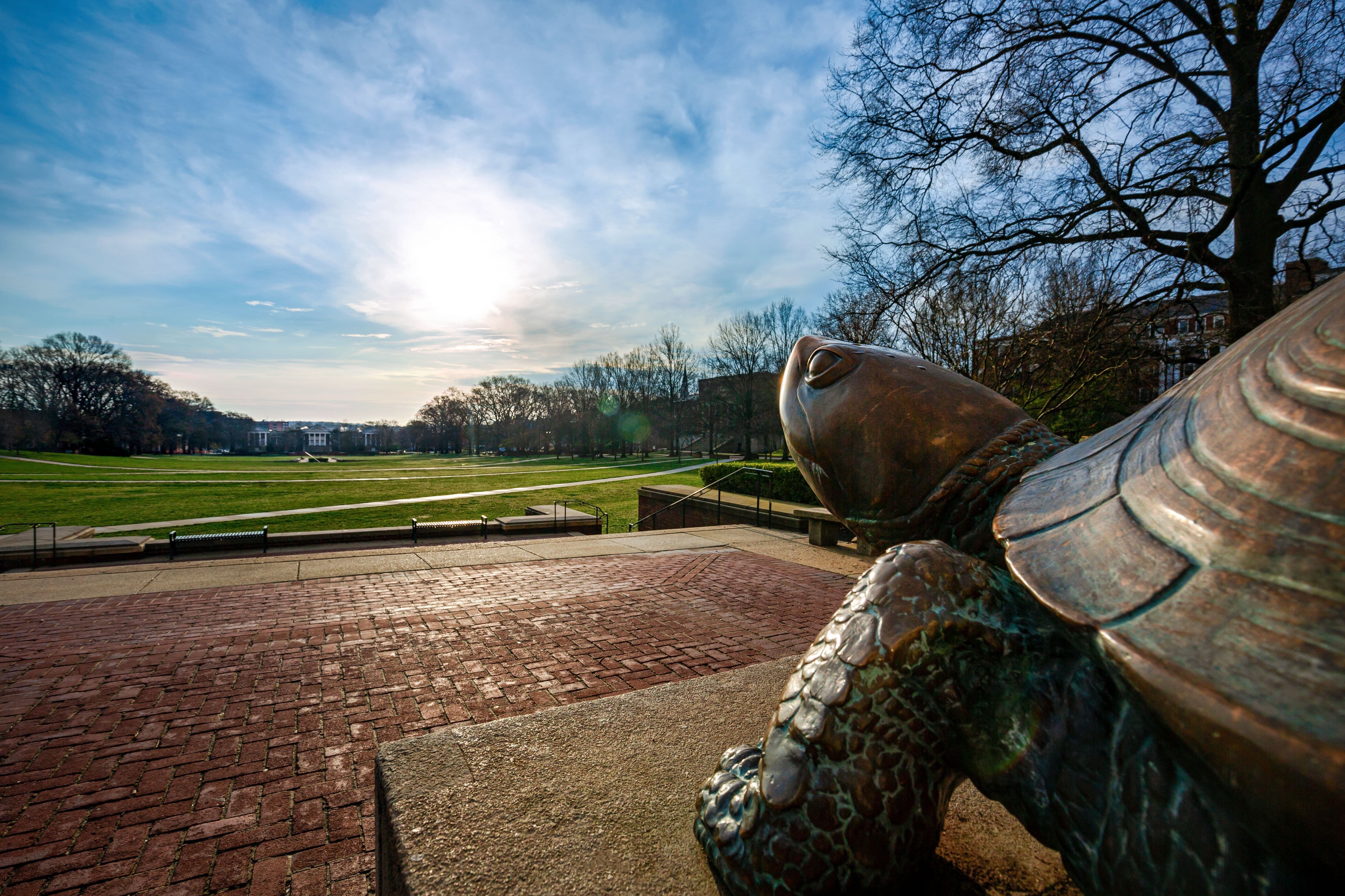 Testudo statue looking out at McKeldin Mall