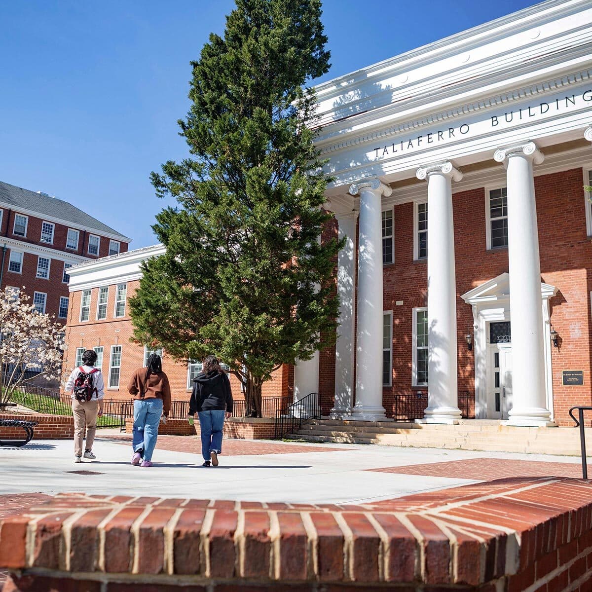 Three college students walk passed the wide square in front of the Taliaferro Building during a bright blue sky day in spring